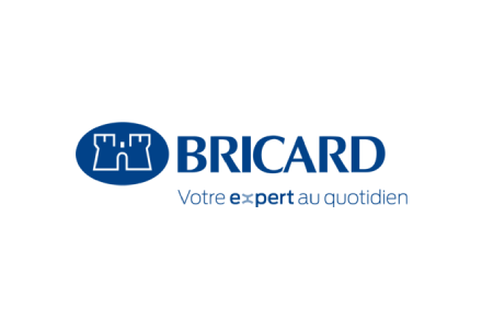 logo bricard